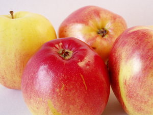 apples-1