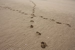 footprints-9