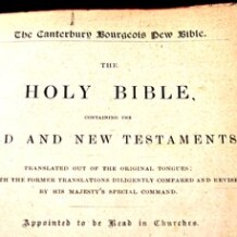 Encouraging Bible Verses To Lift A Despondent Soul