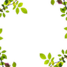 More 60th Birthday Sayings And Quotations