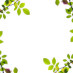 More 60th Birthday Sayings And Quotations