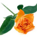 Yet More Romantic Sayings And Quotes